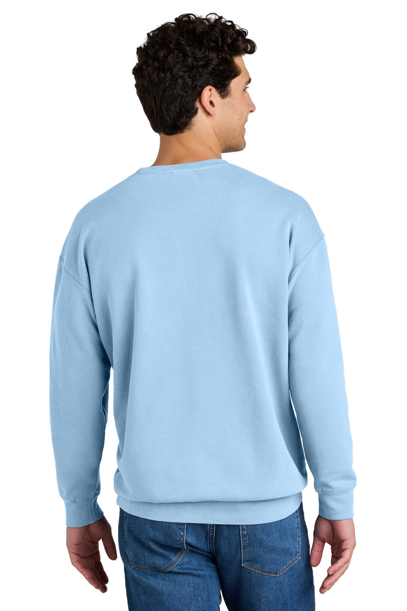 Comfort Colors Lightweight Crewneck Sweatshirt - Hydrangea