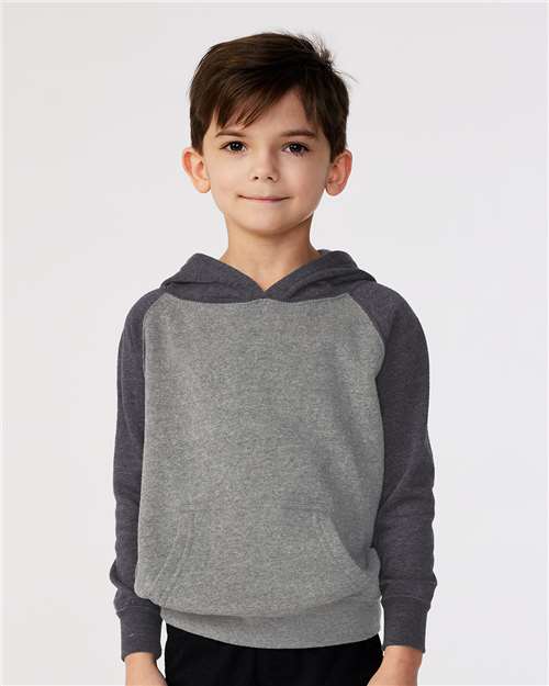 Toddler Special Blend Hooded Raglan Sweatshirt - Nickel/ Carbon