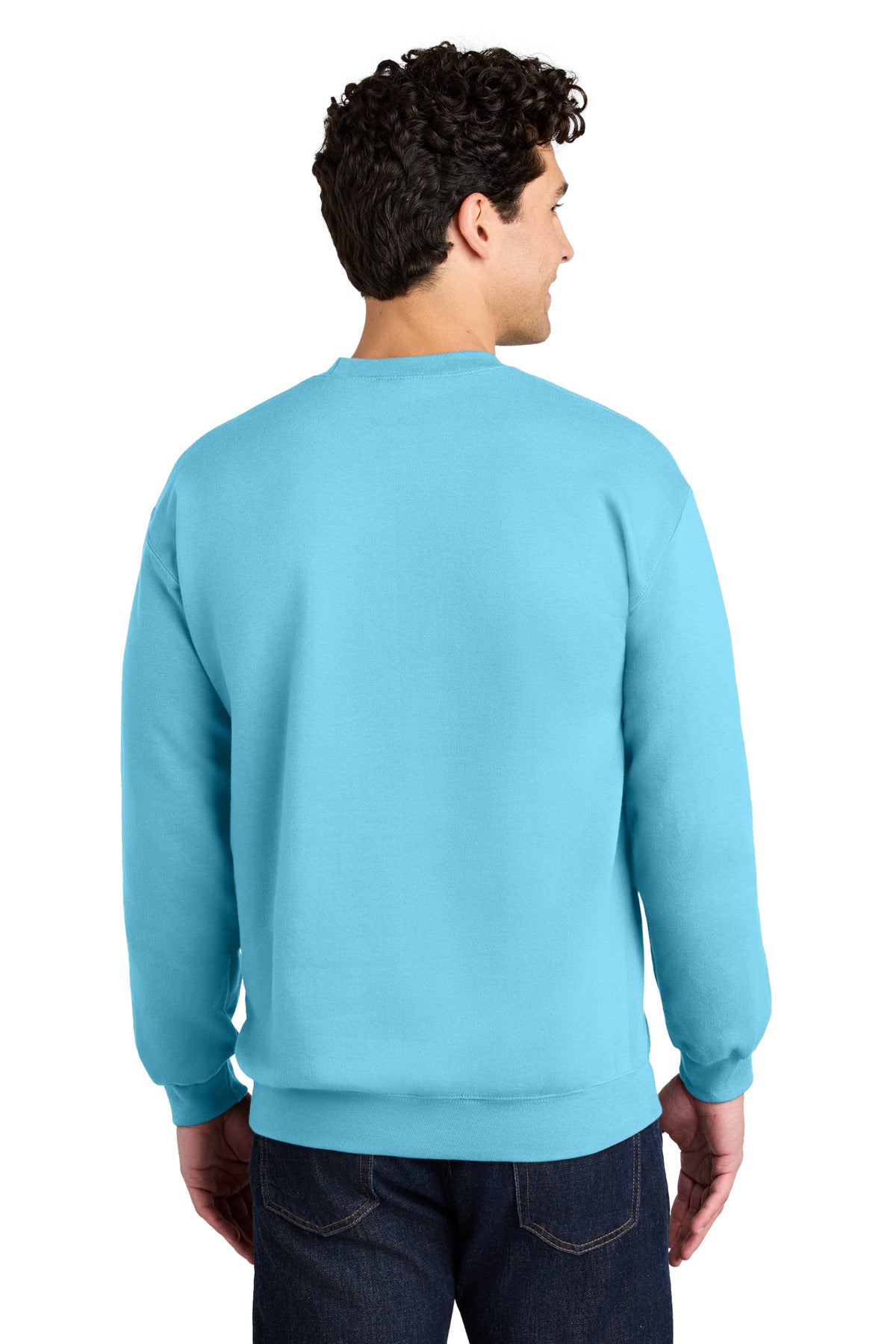 Gildan Softstyle Crewneck Sweatshirt - Sky
