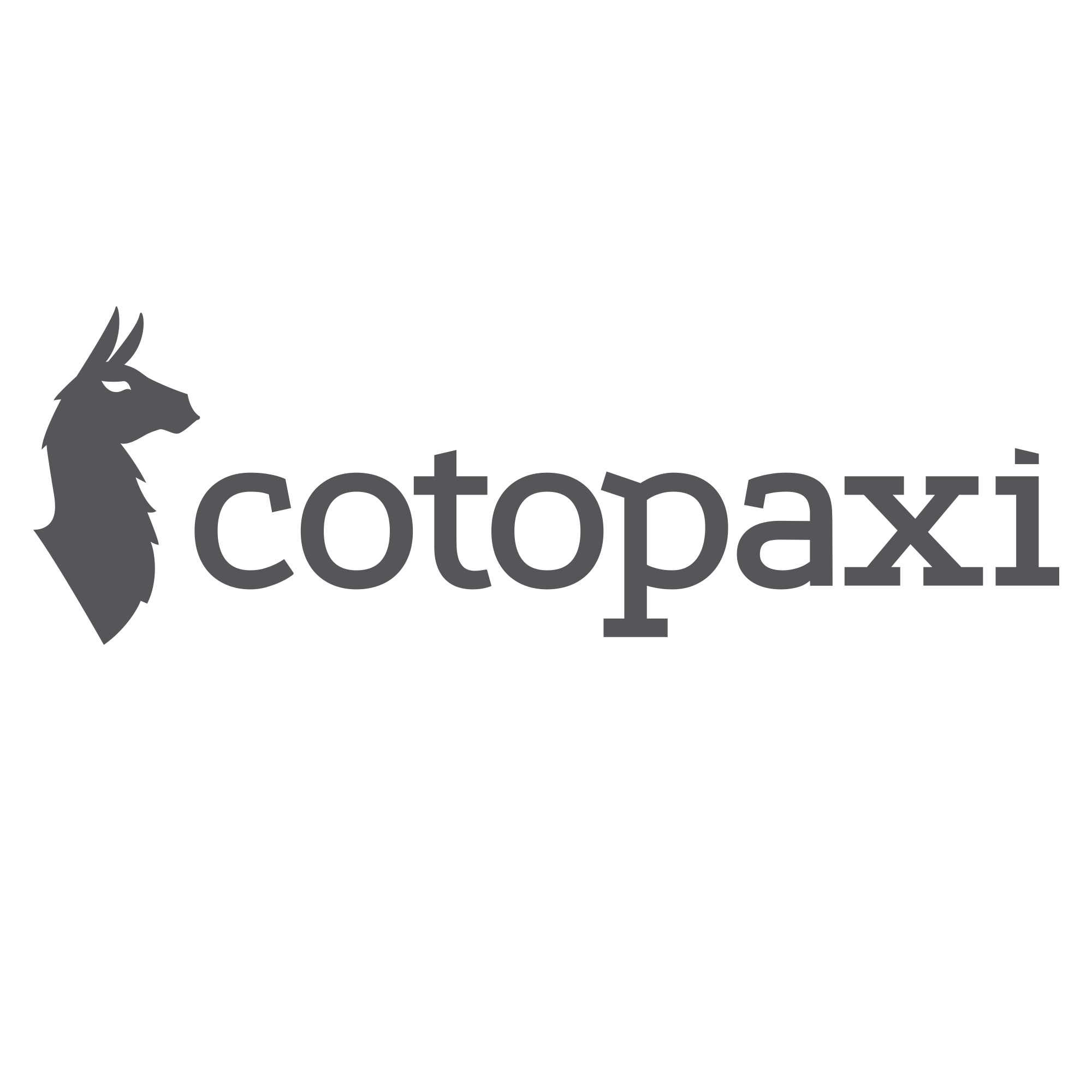 Cotopaxi